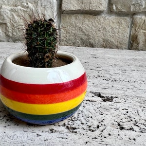 Cactus Planter Keramiek, Rainbow Home Decor, Kleine Planter voor Vetplanten, Handgemaakte Steengoed Bloempot afbeelding 4