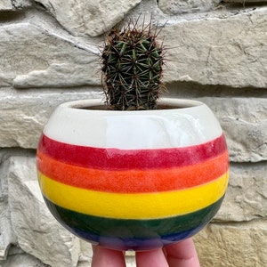 Cactus Planter Keramiek, Rainbow Home Decor, Kleine Planter voor Vetplanten, Handgemaakte Steengoed Bloempot afbeelding 3