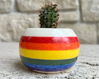 Cactus Planter Ceramic, Rainbow Home Decor, Small Planter for Succulents, Handmade Stoneware Flower Pot