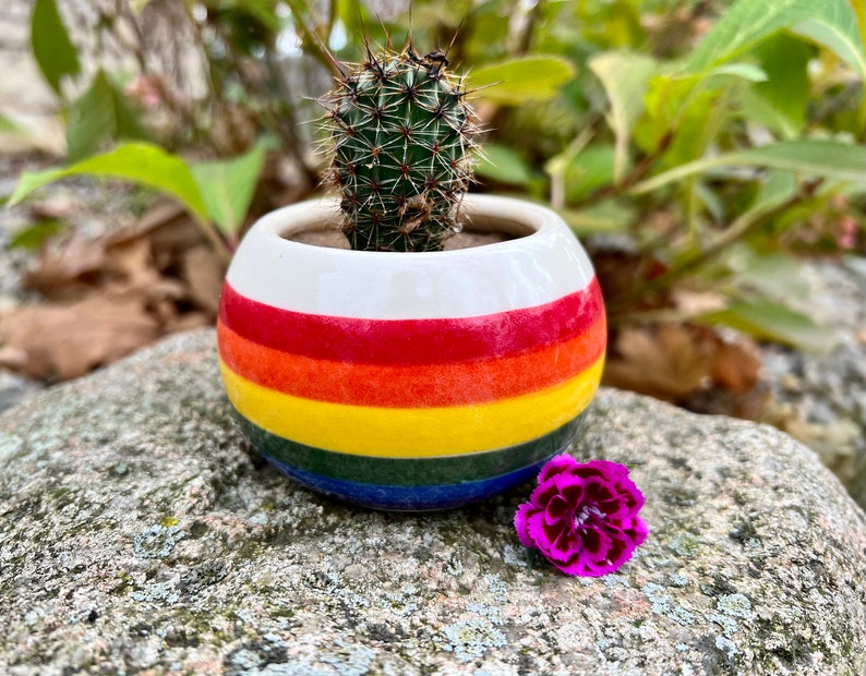 Cactus Planter Keramiek, Rainbow Home Decor, Kleine Planter voor Vetplanten, Handgemaakte Steengoed Bloempot afbeelding 2