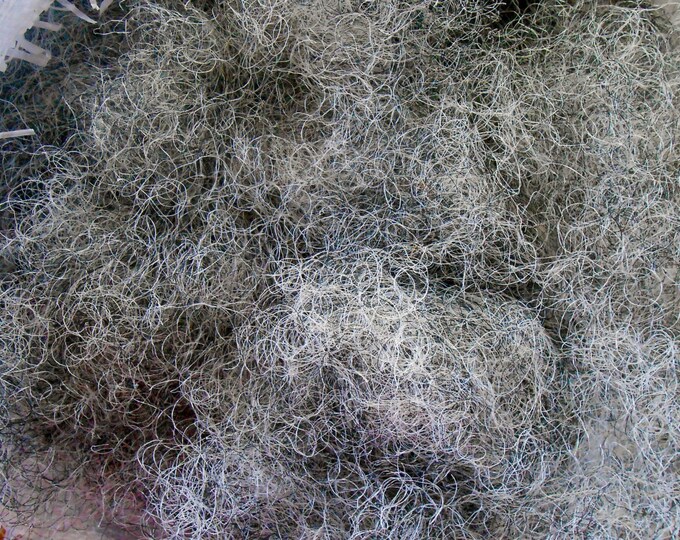 Horsehair Upholstery Supply Horse Hair U.S. Shipper 1 Pound More