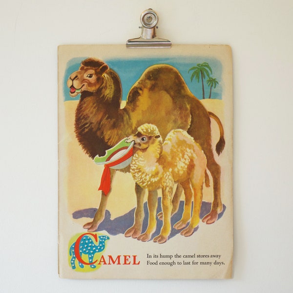 1946 Original Vintage Illustration / C is for Camel / A to Z at the Zoo Picture Book