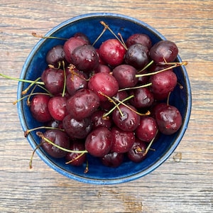 May include: A blue ceramic bowl filled with fresh, red cherries. The cherries are glistening with moisture, suggesting they were recently washed.