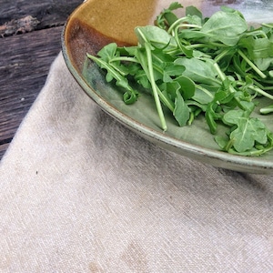 May include: A close-up of a green ceramic bowl filled with fresh arugula, a type of leafy green, on a beige linen tablecloth.