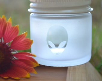 Jar, Glass Jar, Mini Glass Jar, Small Jar, Sand Etched Jar, Alien Jar, Stash Jar, Aliens, Aliens Mini Jar, Matte Finish Jar