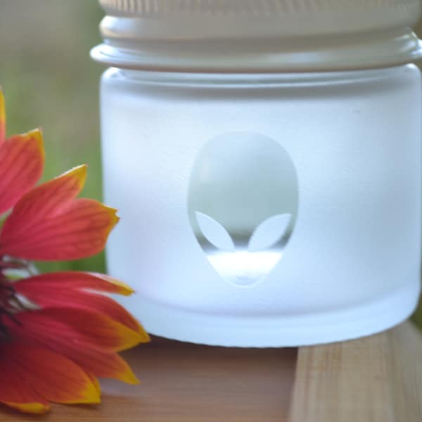 Jar, Glass Jar, Mini Glass Jar, Small Jar, Sand Etched Jar, Alien Jar, Stash Jar, Aliens, Aliens Mini Jar, Matte Finish Jar