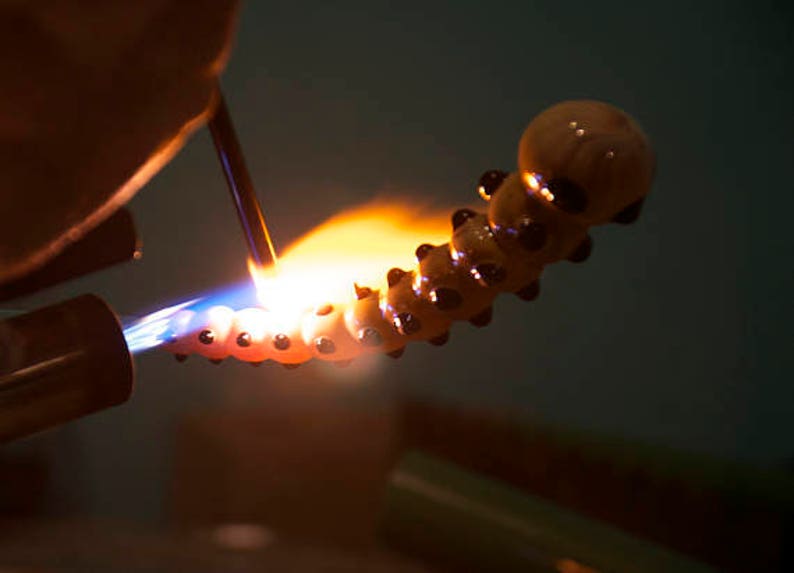 Op de afbeelding: Een glazen pijp die met een brander wordt verwarmd. De pijp is gevormd als een rups met zwarte stippen en een lichtbruin lichaam.