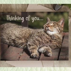 Biglietto d'auguri stampabile Thinking Of You / Foto di gatto che prende il sole / Biglietto d'auguri orizzontale da stampare a casa