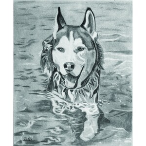 Husky Swimming Black & White Print dog lover wall decor