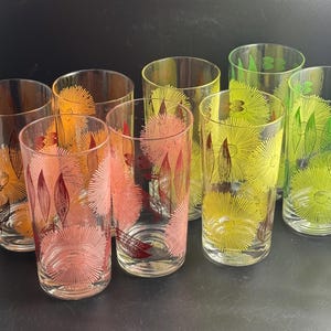 Set of 8 Retro Wildflower Highball Glasses