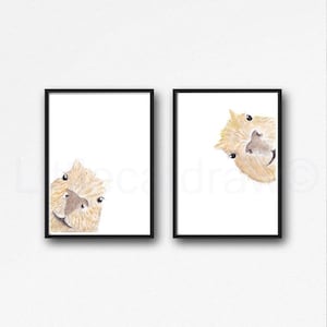 Capybara Gift - 60+ Gift Ideas for 2024