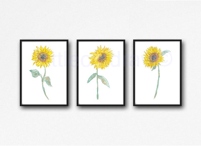 Sunflower Painting Print Set Of 3 Watercolor Print Floral Wall Decor Flower Sun Flower Home Decor 3 Art Prints Wall Art Unframed 