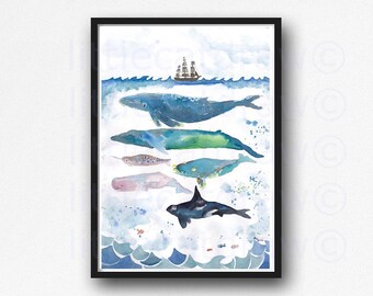 Whale Print Watercolor Whales Bathroom Wall Art Home Decor Unframed Poster Humpback Whale Under The Sea by Littlecatdraw