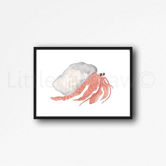 herman hermit crab
