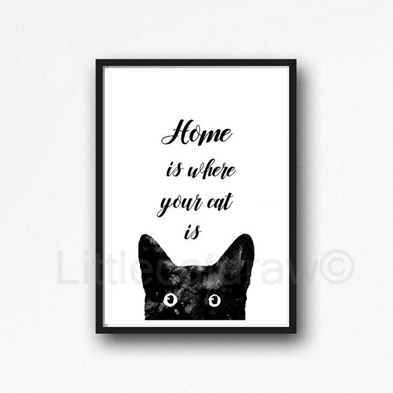 Download Katze zitat For Android