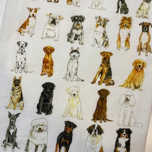 Toalla de cocina de razas de perros