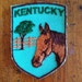 see more listings in the Travel Patches section