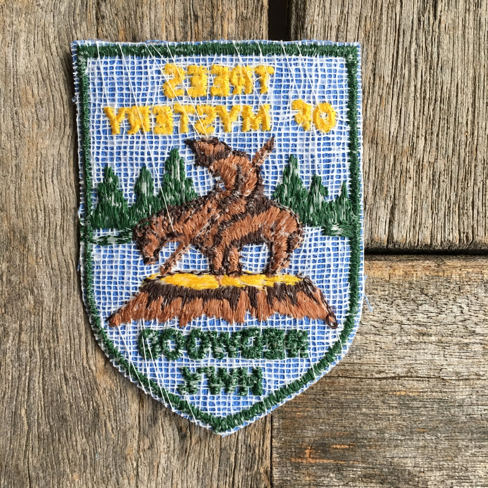 Trees of Mystery Redwood Highway California Vintage Souvenir Etsy