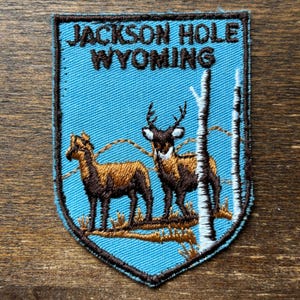 Jackson Hole Wyoming Vintage Souvenir Travel Patch by Voyager - Note: Previously sewn