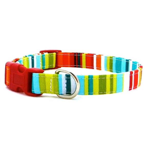 Items similar to BEACH BALL Dog Collar, Striped Dog Collar, Rainbow Dog