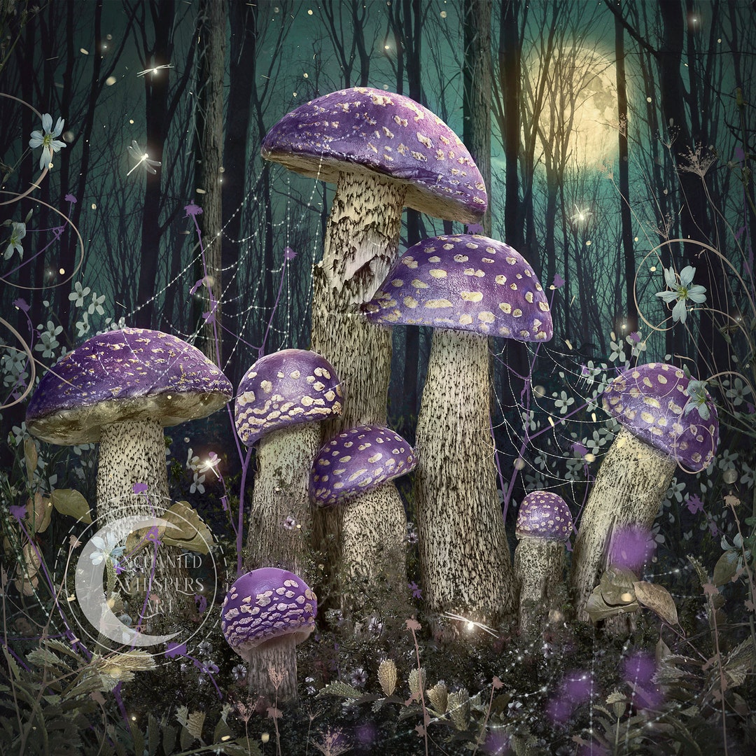 Cottagecore Mushroom Art Print - Purple Toadstool, Dragonfly Full Moon wall  décor, image size:1080x1080