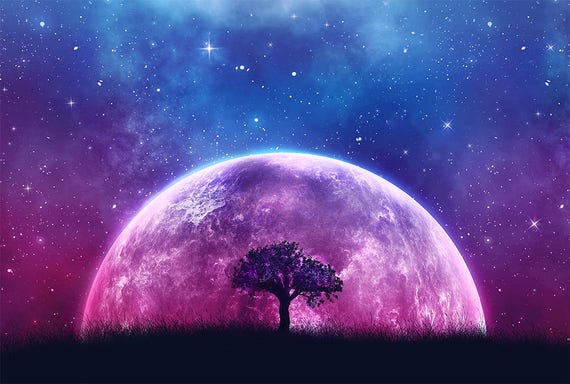 galaxy art print tree