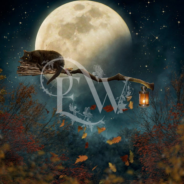 Halloween Witchy digital background, Witch broom and black cat photo editing backdrop