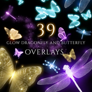 May include: 39 glow dragonfly and butterfly overlays. The overlays are in various colours, including purple, blue, yellow, and white. The overlays are on a black background.