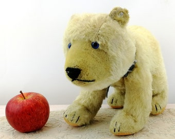 Steiff polar bear with ID largest 12 inches vintage 1952 to 1961