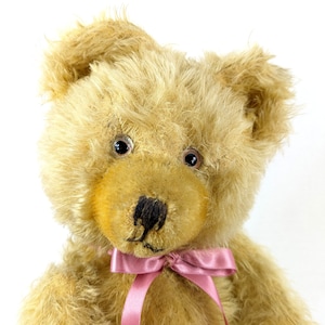 ❤️お鼻ピンクのアンティークベア❤️珍しいイギリスアンティーク