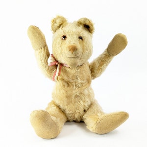 Steiff Teddy Baby Bear with ff button 10 inches 1930 to 1936 image 4