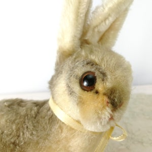 Steiff Bunny Rabbit Sonny with button midi 8 inches vintage 1968 to 1976 image 5