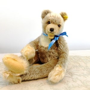 Steiff Teddy Bear Zotty Zolac with IDs 18 inches dangling limbs produced 1966 only