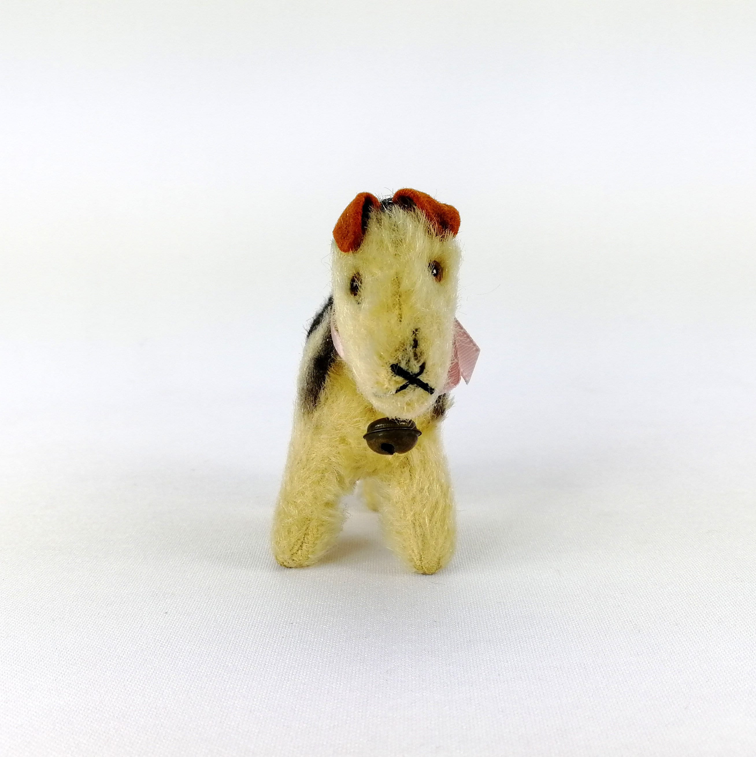Airedale Terrier : caractère, origine, prix, éducation et conseils