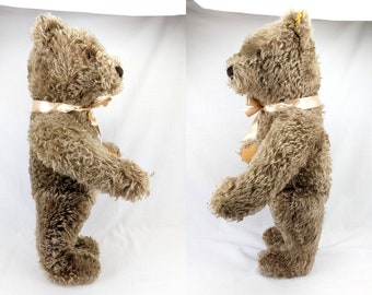 Steiff Teddy Bear With Ids Large 25 Inches Vintage Produced