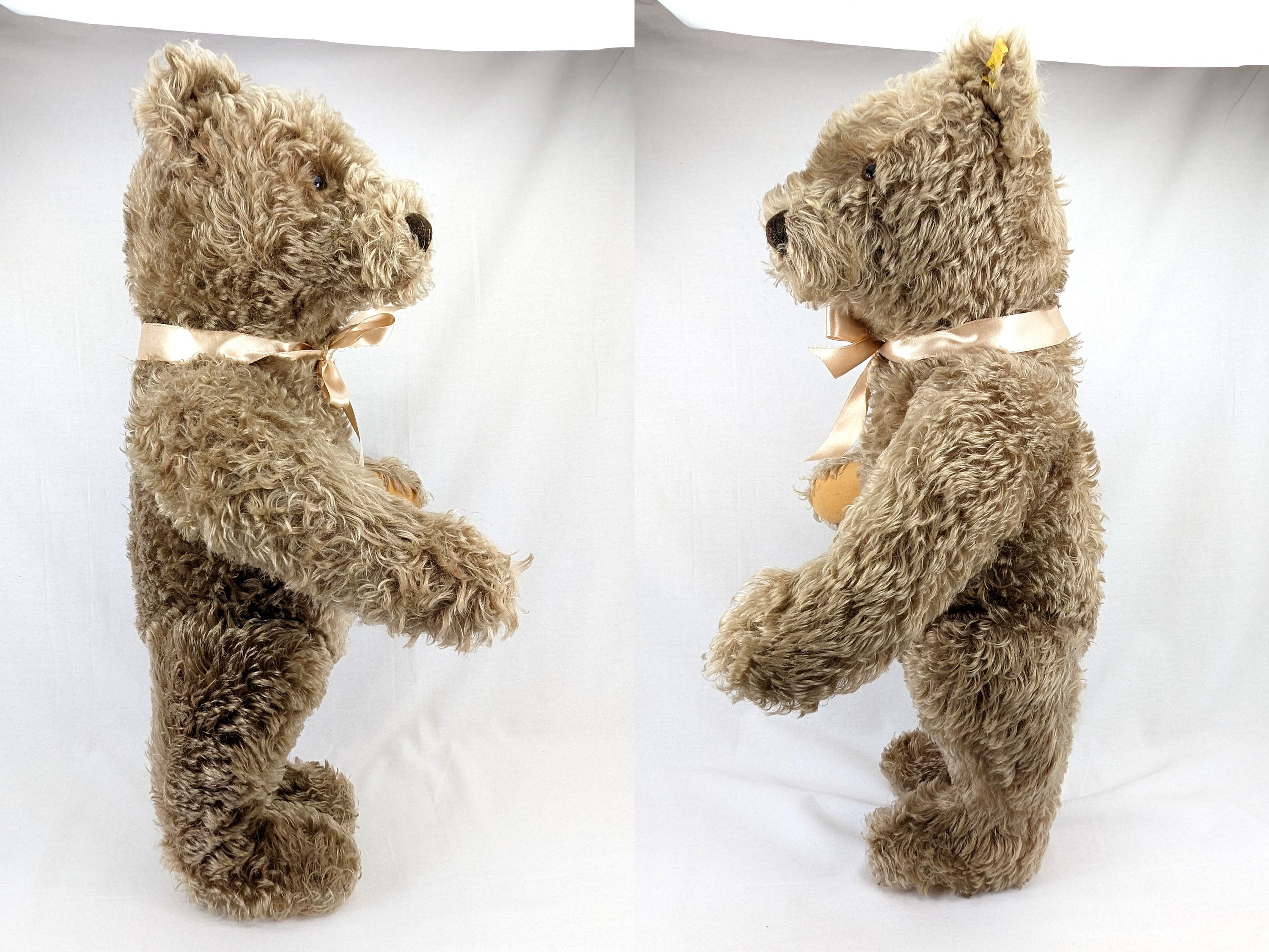 Steiff classic Teddy Bear Bigfoot　16cm Steiff Teddy Bear With Ids Large 25 Inches Vintage Produced 1959
