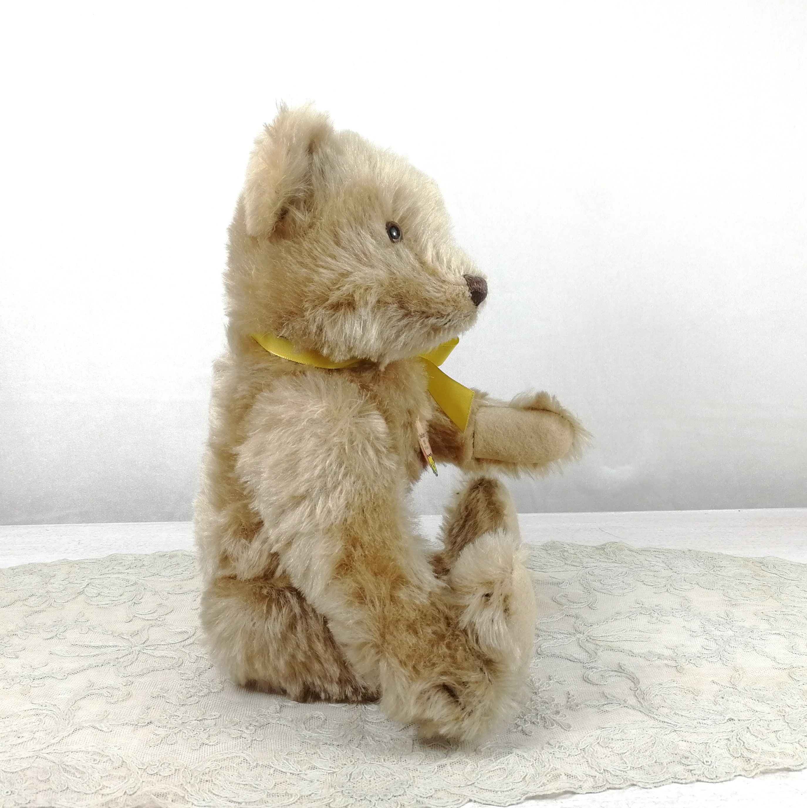 Steiff Musical Teddy 1951 All Ids Working Music Box 14