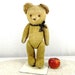 see more listings in the antique teddy bears section