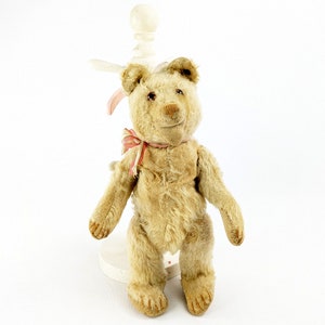 Steiff Teddy Baby Bear with ff button 10 inches 1930 to 1936 image 6