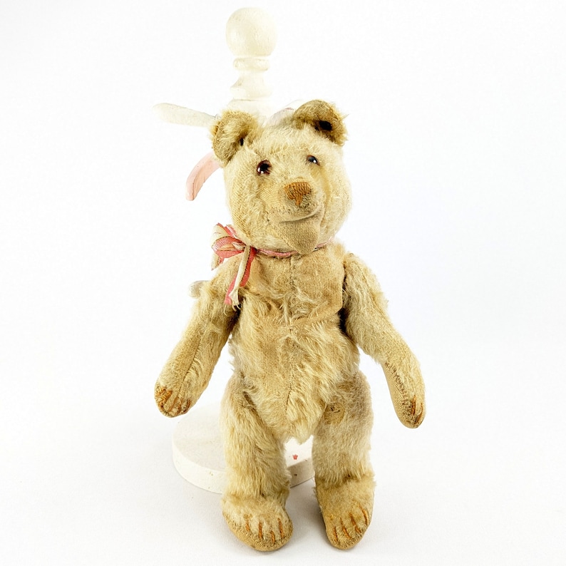 Steiff Teddy Baby Bear with ff button 10 inches 1930 to 1936 image 6