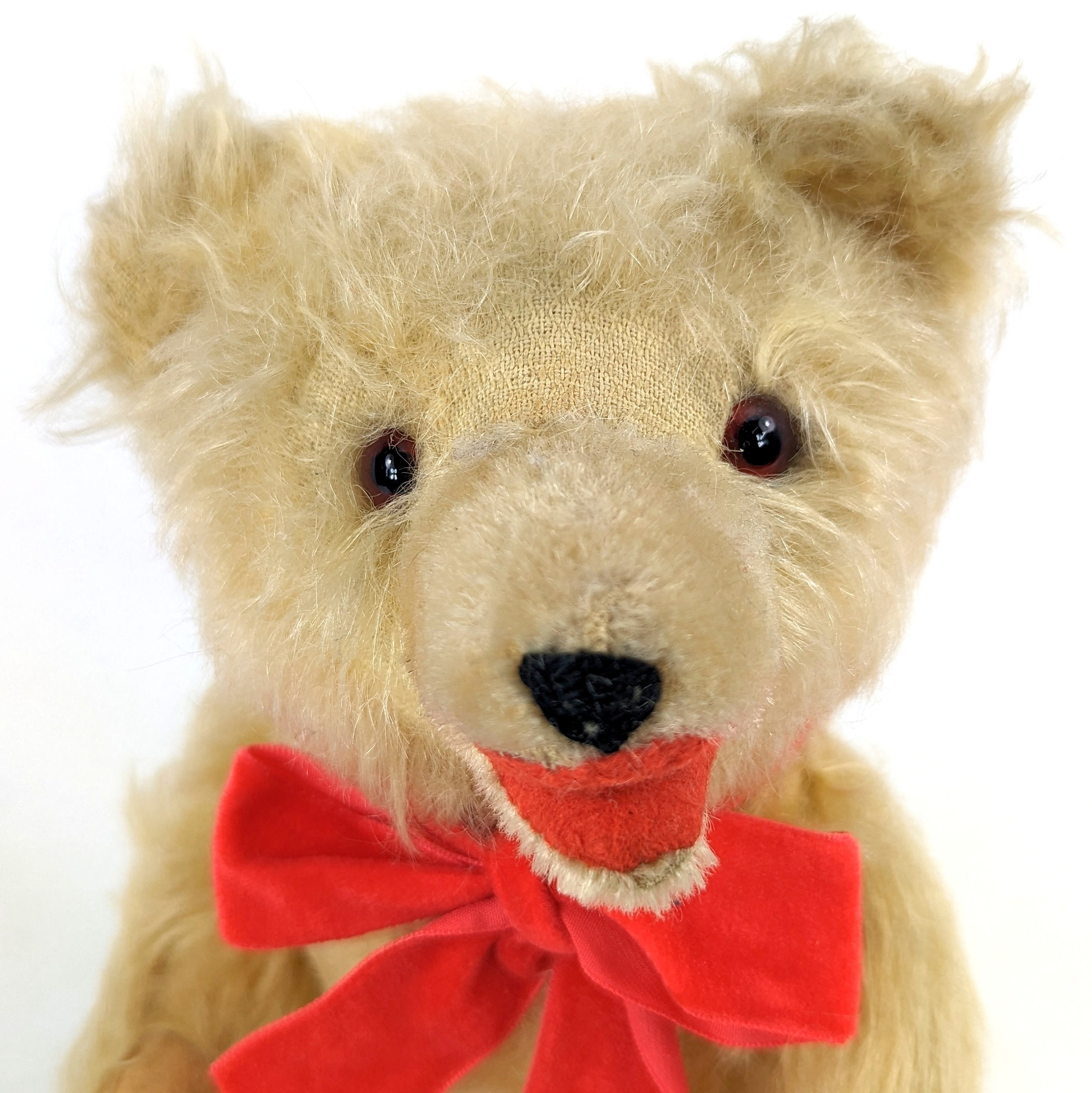 L'ours en peluche - Site du réseau des Musées de l'ULB