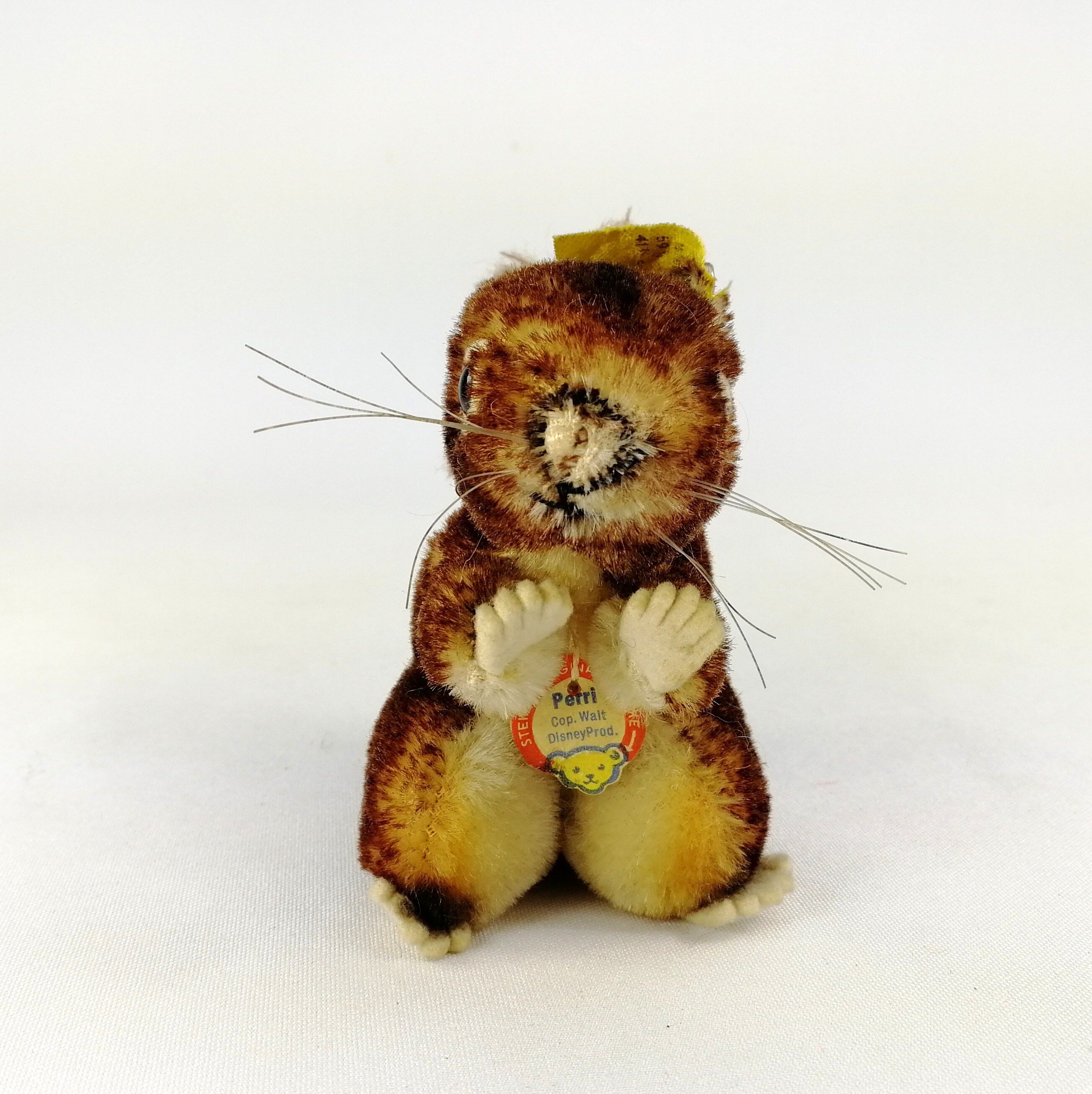 Steiff Squirrel Perri All Ids Vintage 1965 to 1967 Smallest 4