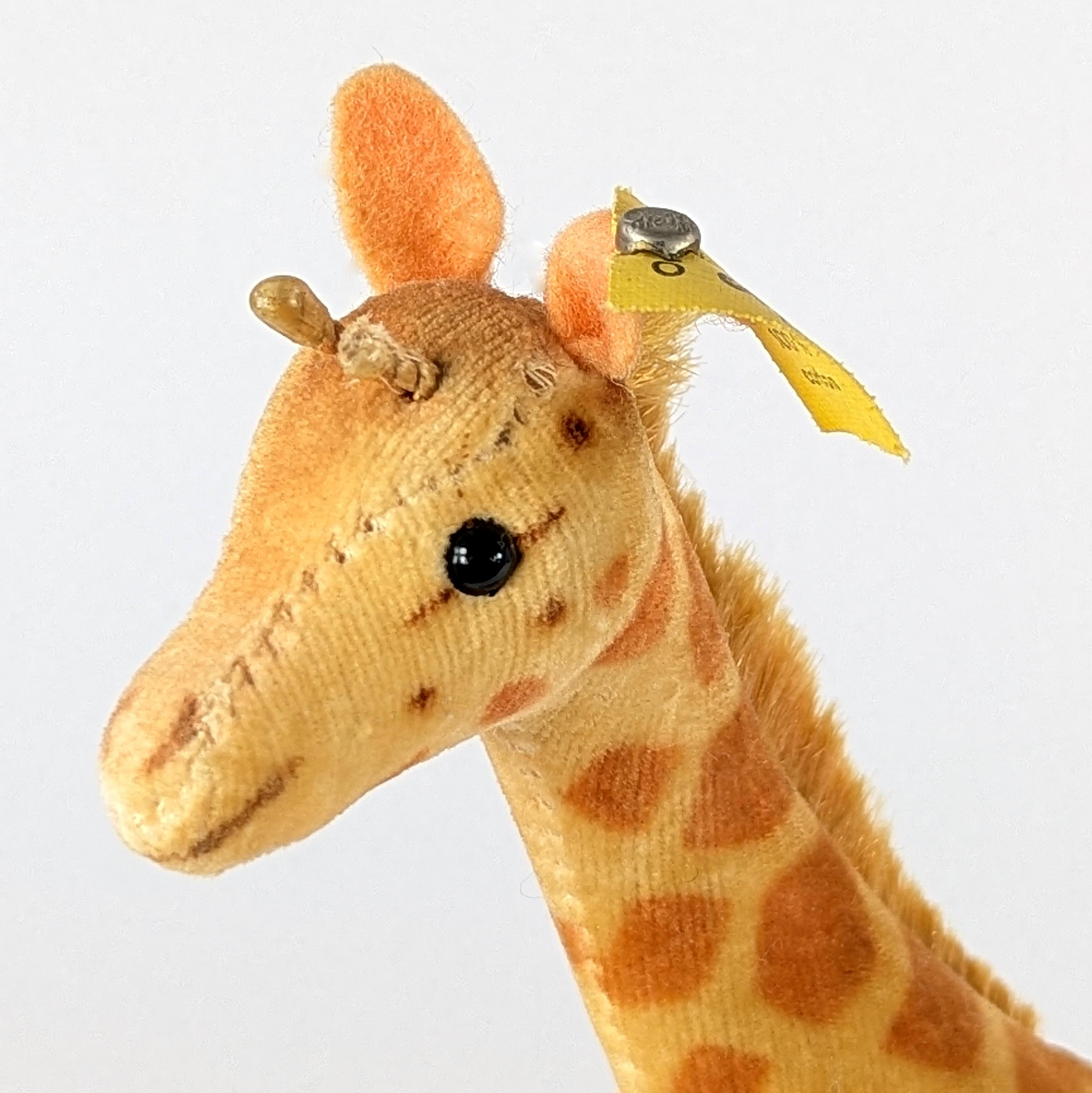 シュタイフビンテージ Steiff Giraffe With Ids 1965 to 1967 Vintage Small 6 Inches