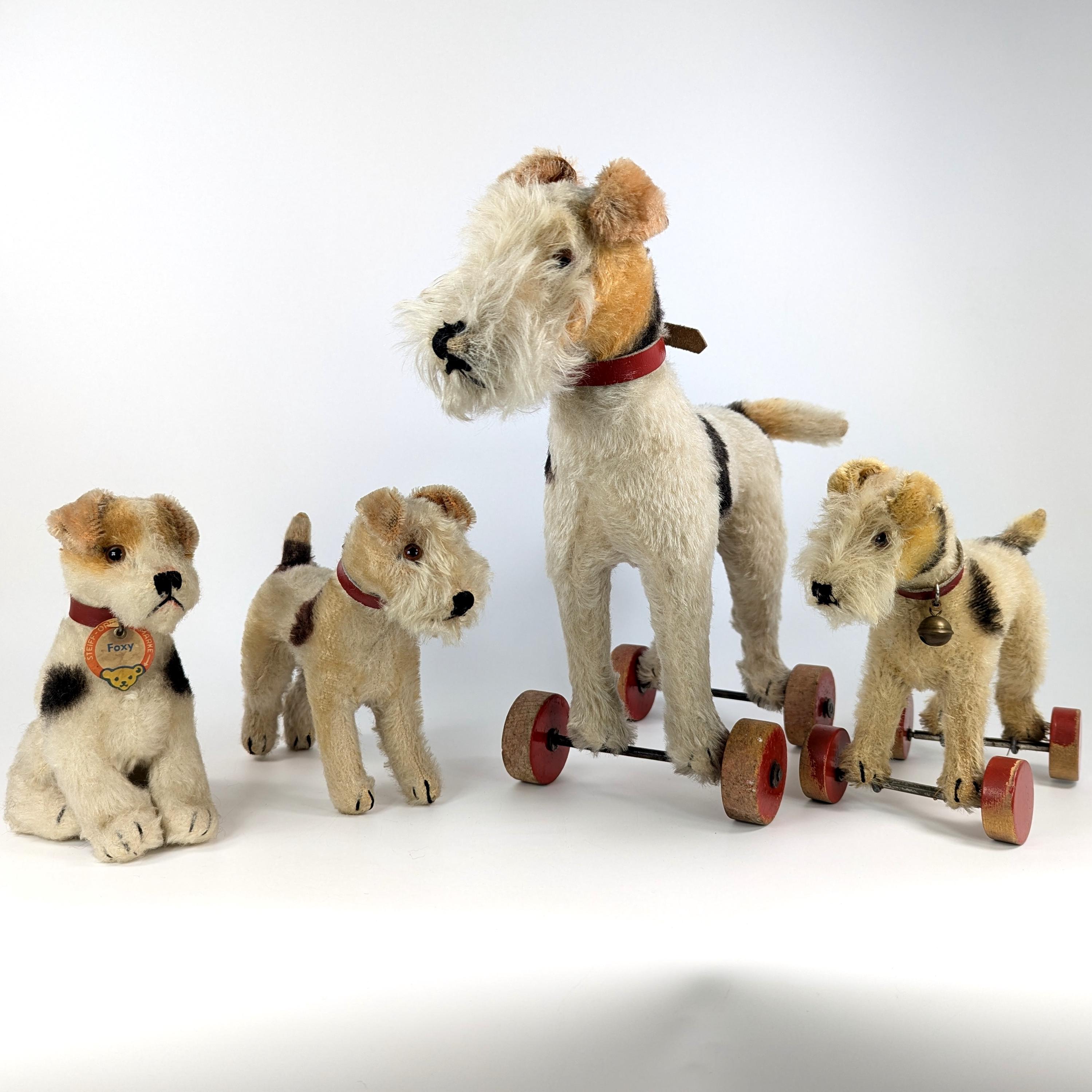 シュタイフ フォックステリア犬 ID付き 最大7インチ ヴィンテージ 1953