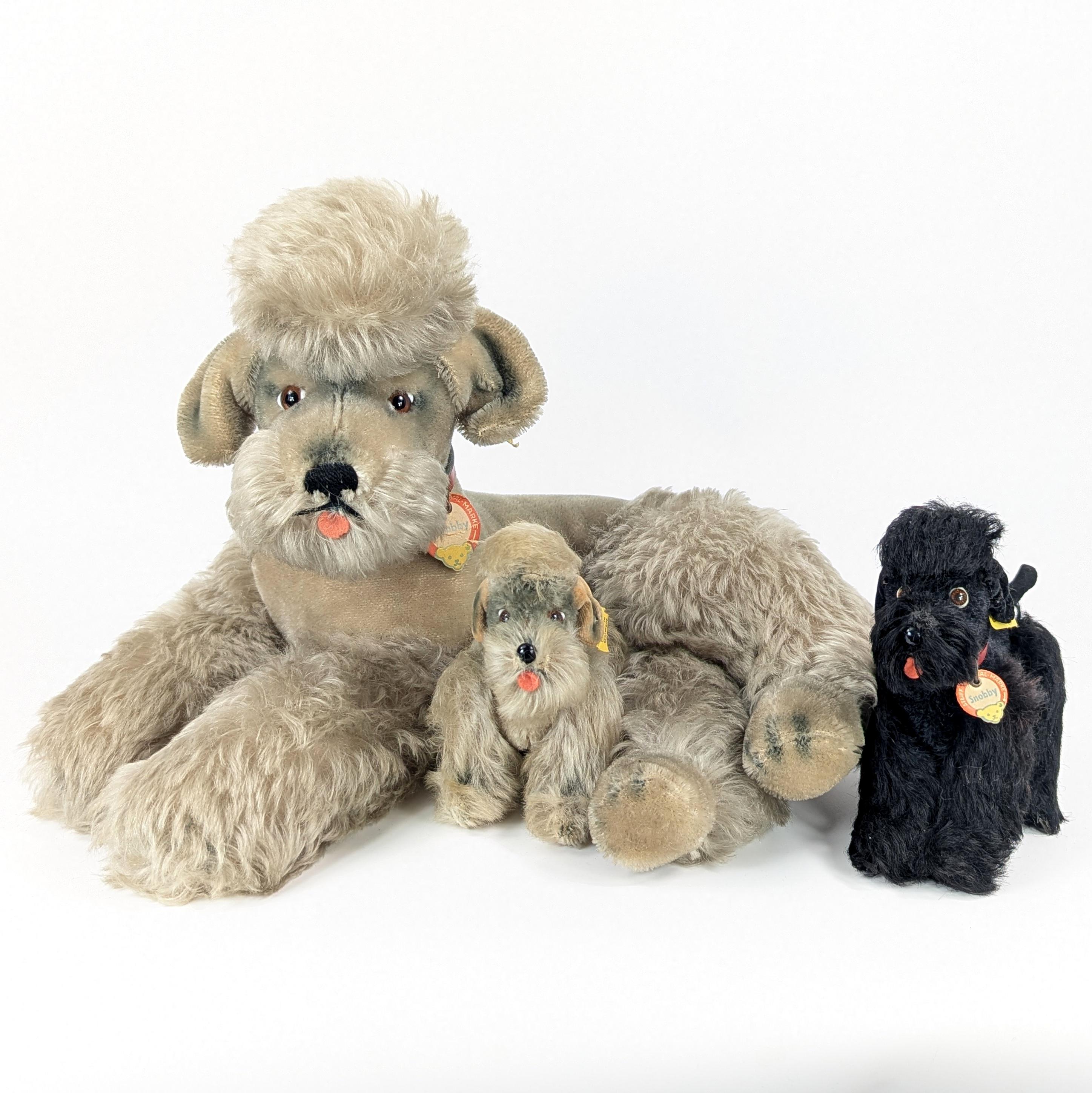 Steiff Poodle Snobby All Ids Lying Large 14 Inches Vintage 1959 to