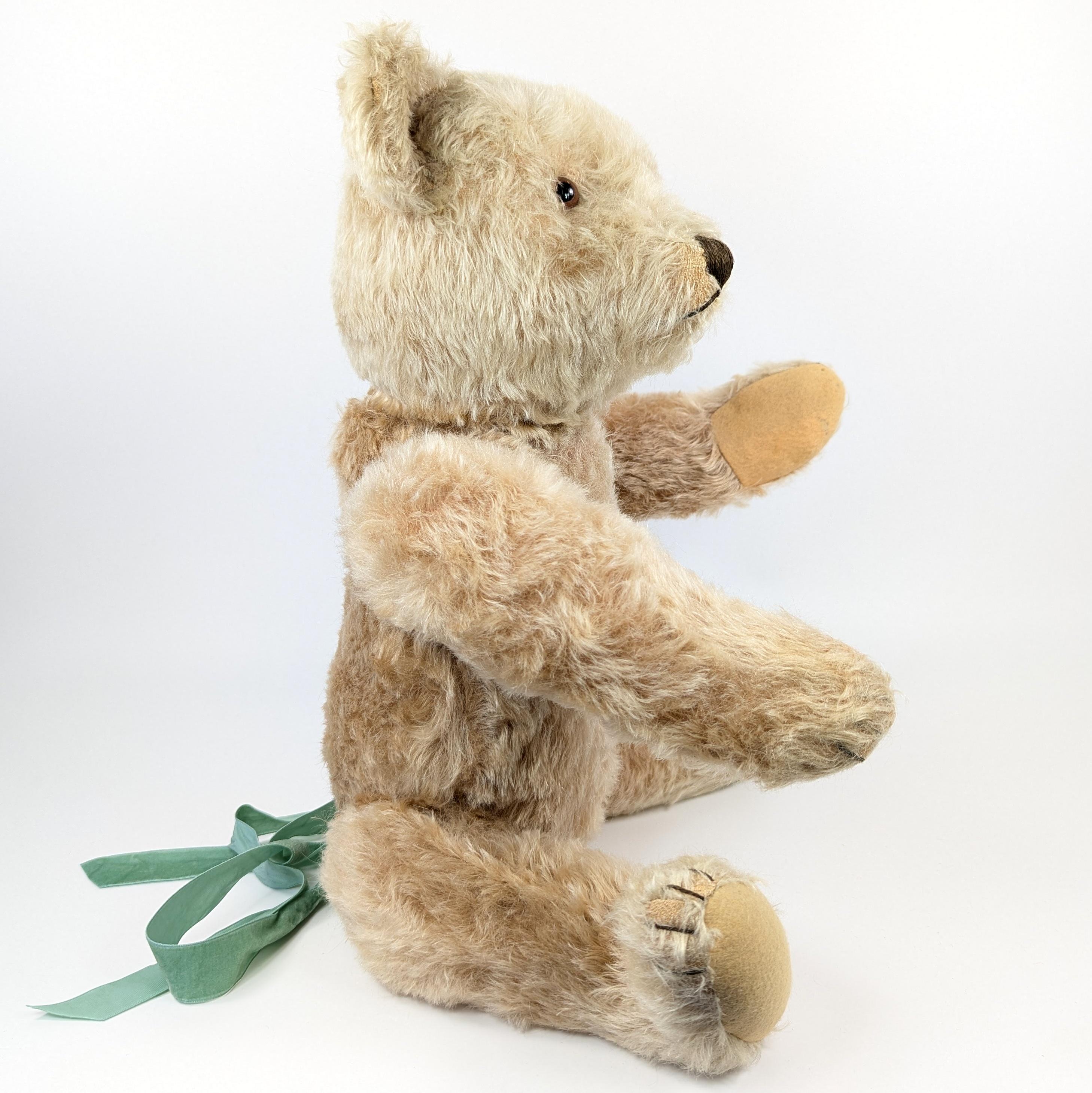 Steiff Teddy Bear Large 20 Inches Vintage 1954 to 1964 Produced