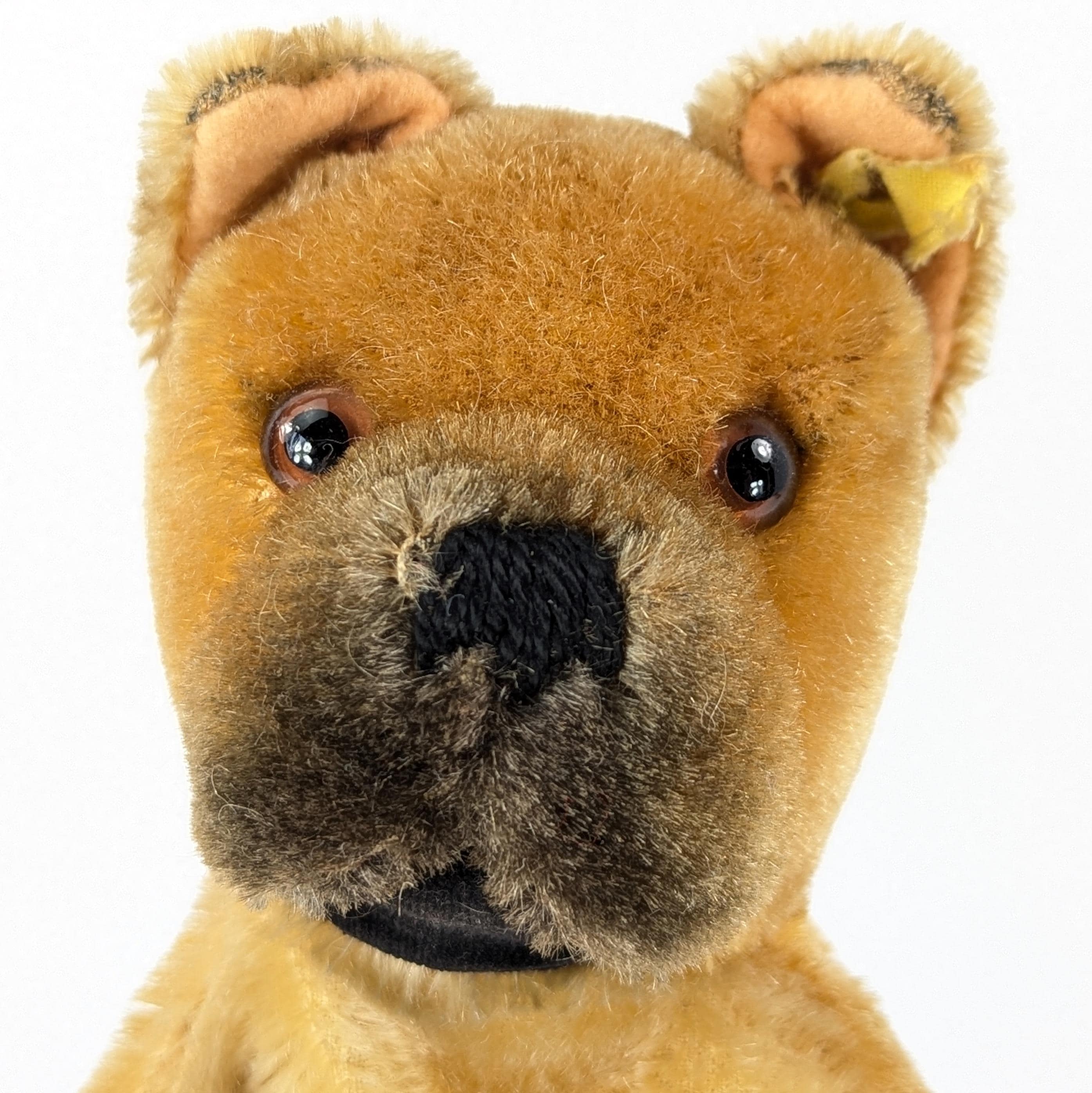 Steiff Hand Puppet Boxer Dog With Ids Vintage 1951 to 1963