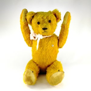Old yellow teddy bear sits in front of the camera holding up his arms. The foot and hand pads and body shape are to be seen.