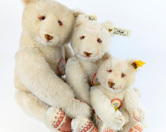 STEIFFF 1909 WHITE TEDDY BEAR レプリカ 約33cm STEIFF - Limited Edition 1909 Replica Blond 65 Teddy Bear - Etsy