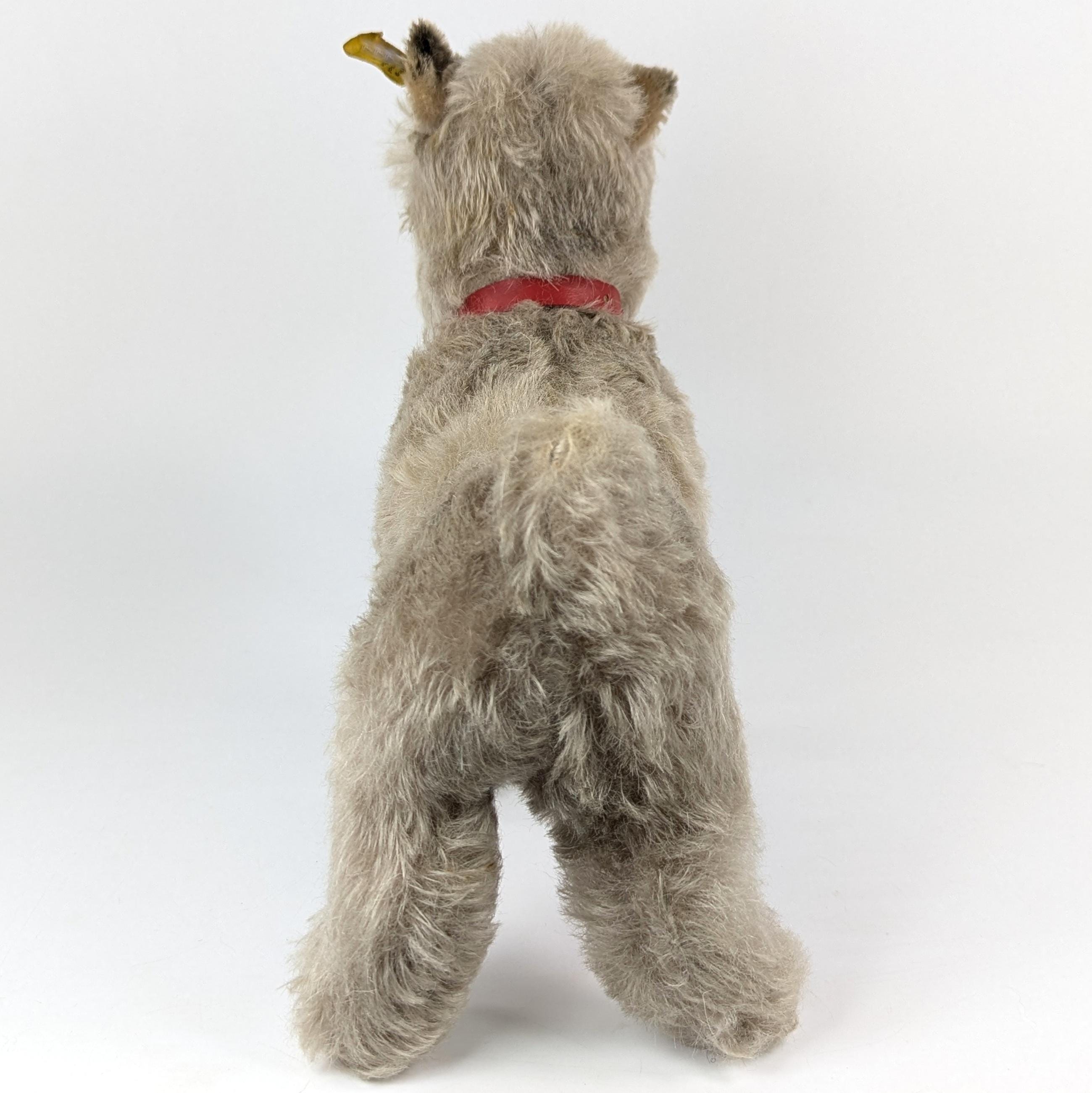 シュタイフ シュナウザー テッシー 9インチ ヴィンテージ 1965～1967年